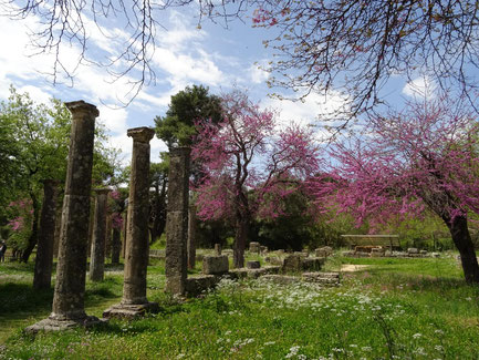Frühling im antiken Olympia