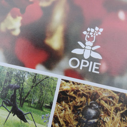 O.P.I.E., article art et insectes