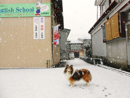 2012.12.01 初雪の日