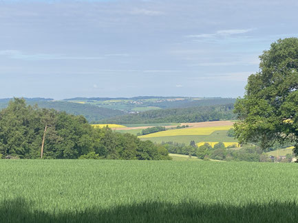 Blick in den Fürstengrund bei Bad König