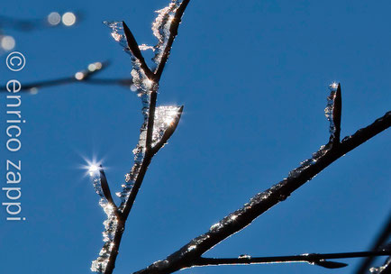 Dalla "Gioielleria della Natura" diamanti di ghiaccio brillano al Sole. Canon EOS 5D Mark II - EF 24/105 a 105 mm. - ISO 100 - F/ 11 - T. 1/400 sec.