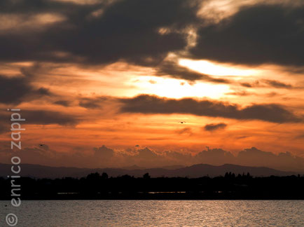 Il sole scende per il quotidiano tramonto che dalle nervose nubi si preannuncia molto accattivante (Saline di Cervia RA 07.10.12)