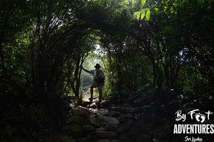 Birding, Birdwatching, Birdingweek, Birdingtour, Ornithologie, Knuckles, Sri Lanka, Birds, Trekking, Walks, Hiking, Kandy, Wildlife, Explorer, Adventure, Nature, Photography, Explorer Week, Trails, Wildlife, Camping, Hikes, Waterfalls, Secret Places