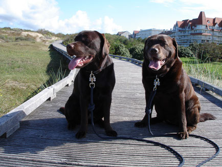 Mellow et Follow Me sur la promenade du Touquet