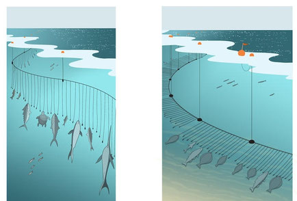 Fangmethoden - www.koch-zug.ch