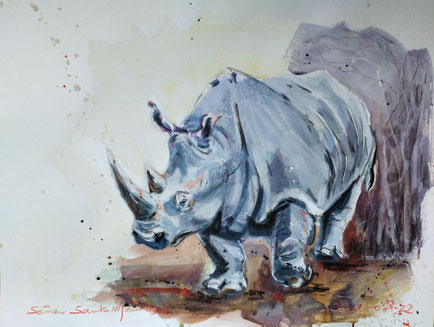 severine saint-maurice, lescerclesdelumiere.com, rhinoceros, 