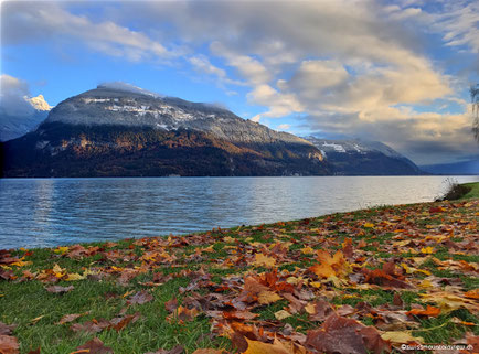 Mitte November 2016 vom Herbst in den Winter und wieder zurück