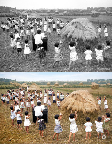 修復・色再現 作業前→作業後比較　1959（昭和34）年9月7日、石川県の松任町（現白山市）林中地区