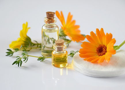 calendula e olii curativi