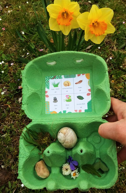 Natur-Bingo im Eierkarton - Upcycling