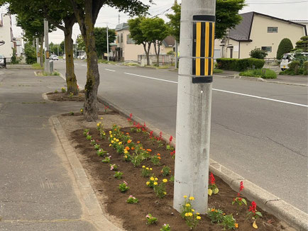 花壇整備完了