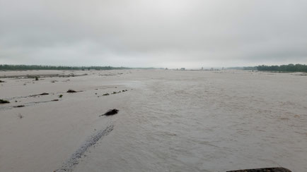 Tagliamento
