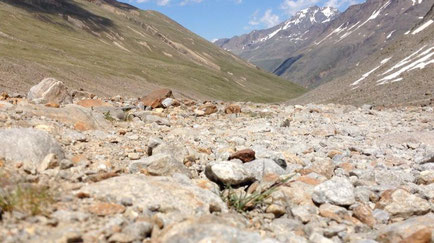 Wüste Fels Steine kein Wasser trocken Vegetation Ötzi Pause Rast Braunschweiger Hütte Similaun Hütte Grenze Italien Osterreich Alpen E5 Berge Wandern