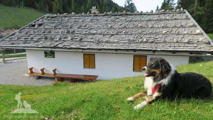 Mit dem Hund und auf die Hütte