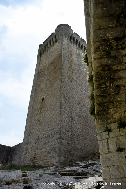 13 - Montmajour - Abbaye Saint-Pierre : Tour Pons de l'Orme (XIV° siècle)