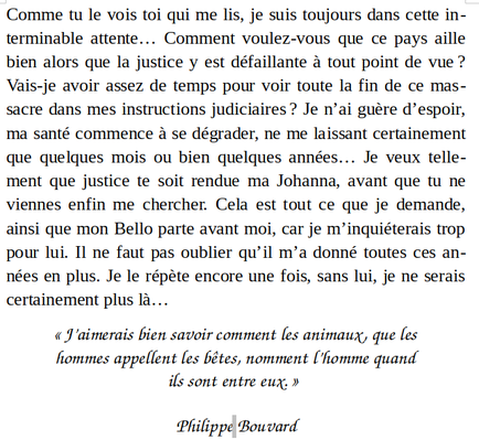Extrait livre de Sandrine Barthélémy la maman de Johanna tuée rue de la République en 2019