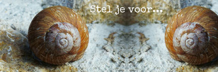 Stel je voor... Iemand ontmoeten die ziet wat jij verstopt, die hoort wat jij niet kan vertellen, die begrijpt wat niemand ooit begrepen heeft.
