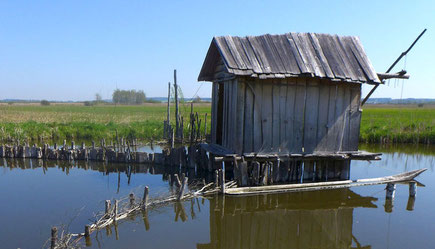 Hechtreuse im Pfahlbaumuseum Federsee