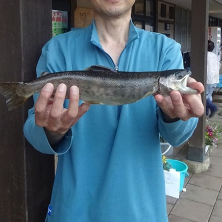 飛騨高山渓流王ハルック５０様