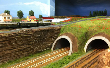 Tunnelingangen richting Schaduwstation (r) en Sittard (l). Linksboven station Schin op Geul ZLSM.