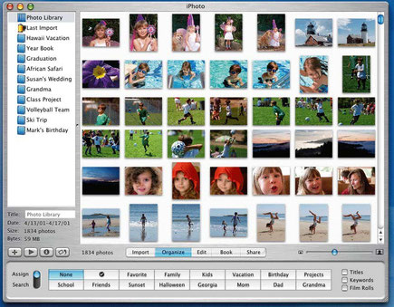 haz limpieza de fotos - www.AorganiZarte.com