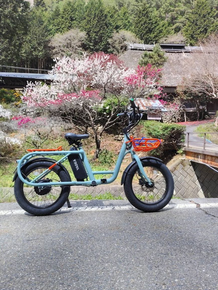 YADEA CC-01T 春の長野での使用風景