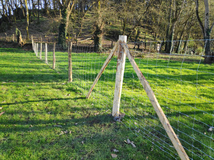 cloture pose ecopaturage vendee
