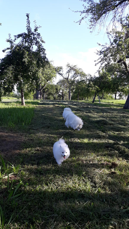 Mama und Tochter