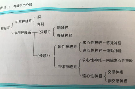 小牧　鍼灸　鍼治療　腰痛　自律神経