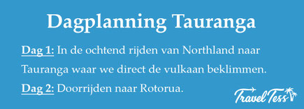 Dagplanning Tauranga