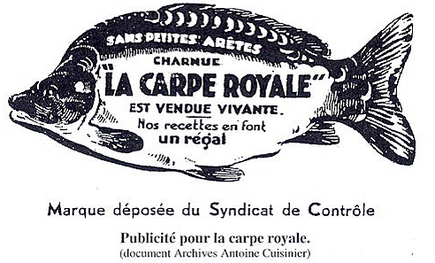Carpe Royale du Forez SAPEEF syndicat