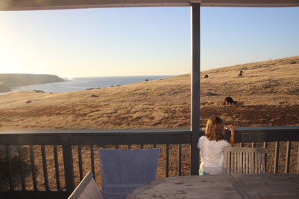 Depuis la terrasse de notre maison