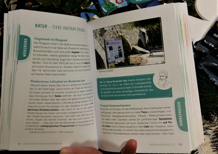 Der Fledermaus-Lehrpfad Würzburg im Taschenbuch "Würzburg für Kids & Co"