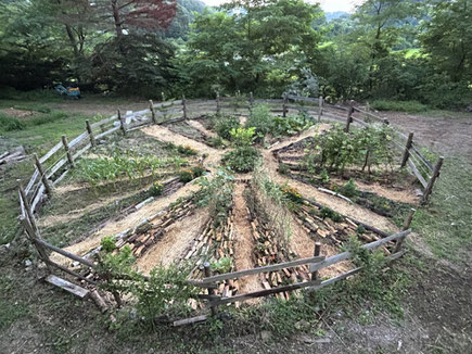 Wasserの無農薬野菜畑