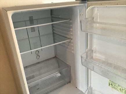 冷蔵庫クリーニング　冷蔵庫に虫の死骸　冷蔵庫のニオイ脱臭