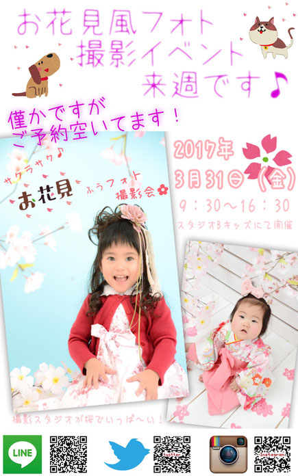 七五三・お宮参り・赤ちゃん・卒業記念・卒園記念・入園祝い・入学祝い・百日祝い・ハーフバースデー・節句・お誕生日・家族写真・子供写真など各種記念写真はプロの品質?でお応えする名古屋市西区のフォトスタジオ「スタジオビーキッズ」へ お花見 イベント 3月31日