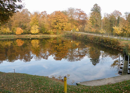 Etang de Milourd, Anor (59).