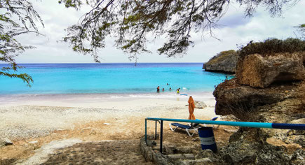 Karibik, Karibikreise, Backpacker, Backpacking, Zwei auf Achse, Travel the World, Westpund, Curacao, Meeresschildkröte, Willemstad, Punda, Otrabanda, Weltreise,