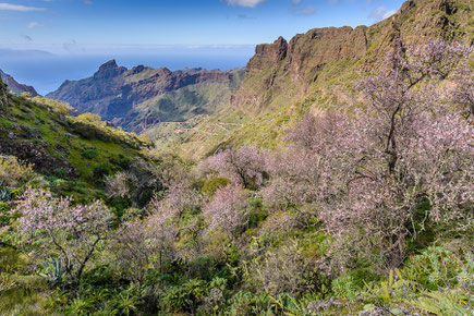 Tenogebirge im Nordwesten Teneriffas