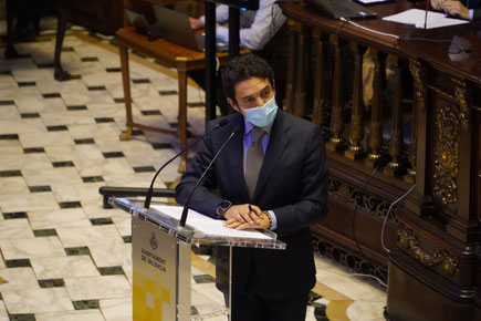 Carlos Mundina, concejal del PP de Valencia