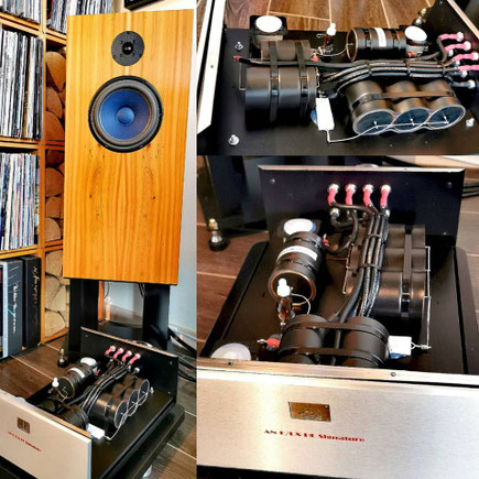Audionote AN-E / D SPe Lx SPx AlNiCo SEC SOGON SOOTTO signature
