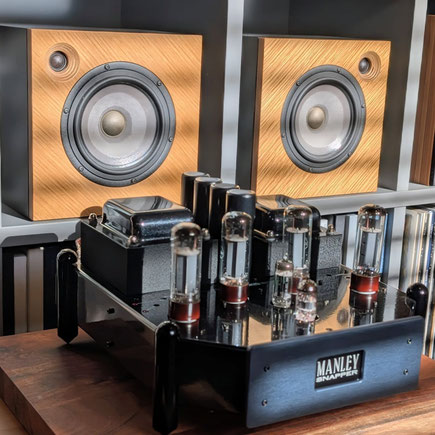 Röhren Mono Endstufe Endverstärker MR-Hifi