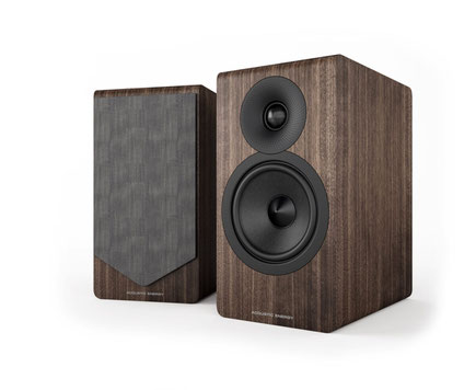 Acoustic Energy 300