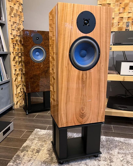 Audio Note AN-E SPx Ltd Field Coil Speaker