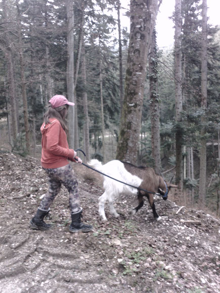 Ein Kind mit Schildmütze führt eine Ziege durch den Wald, die Ziege erkundet den Rand eines Abhangs