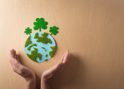 コージースタイル 横須賀 横浜 逗子 葉山 三浦 片づけサポートサービス 片づけ代行サービス 片づけたい 片づけのコツ