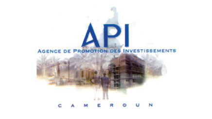 Ancien Logo API 2010-2022