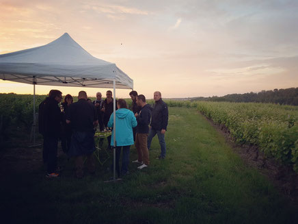 professionnels-repas-séminaires-reunions-entreprises-evenementiel-animation-oenologie-accords-mets-et-vins-Rendez-Vous-dans-les-Vignes-Myriam-Fouasse-Robert