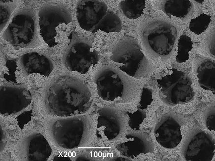 黒い布製、光吸収（影） 産総研、光を99.98%以上吸収する「至高の暗黒シート」。触れる