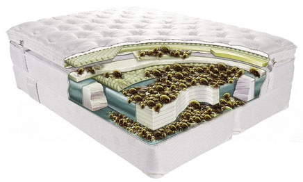 Milben und Mibenkot in einer herkömmlichen Matratze.